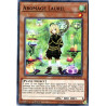 yu-gi-oh-tcg-chim-en017-c-aromage-laurel-chaos-impact