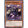 yu-gi-oh-tcg-chim-en018-c-aromage-marjoram-chaos-impact