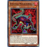 yu-gi-oh-tcg-chim-en020-c-evoltile-megachirella-chaos-impact