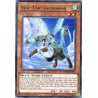 yu-gi-oh-tcg-chim-en029-r-hop-ear-squadron-chaos-impact