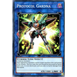 yu-gi-oh-tcg-chim-en038-c-protocol-gardna-chaos-impact