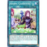 yu-gi-oh-tcg-chim-en059-c-aroma-gardening-chaos-impact