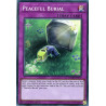 yu-gi-oh-tcg-chim-en077-sr-peaceful-burial-chaos-impact