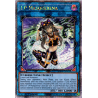 Yu-Gi-Oh-TCG-BLCR-EN103-STAR-Left-Leg-of-the-Forbidden-One-Battles-of-Legend-Crystal-Revenge