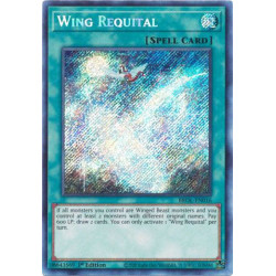 Yu-Gi-Oh TCG BROL-EN016 SE Wing Requital Brothers of Legend