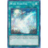 Yu-Gi-Oh TCG BROL-EN016 SE Wing Requital Brothers of Legend