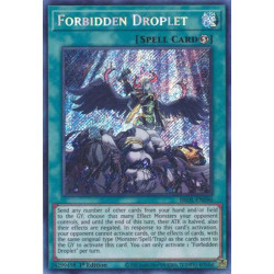 Yu-Gi-Oh TCG BROL-EN090 SE Forbidden Droplet Brothers of Legend