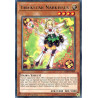 Yu-Gi-Oh TCG CIBR-EN004 R Trickstar Narkissus Circuit Break