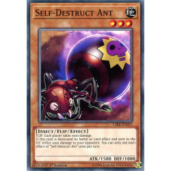 Yu-Gi-Oh TCG CIBR-EN035 C Self-Destruct Ant Circuit Break