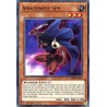 Yu-Gi-Oh TCG CIBR-EN093 C Amazoness Spy Circuit Break
