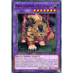 Yu-Gi-Oh TCG CIBR-EN094 C Amazoness Pet Liger Circuit Break