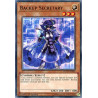 Yu-Gi-Oh TCG COTD-EN002 C Backup Secretary Code of the Duelist