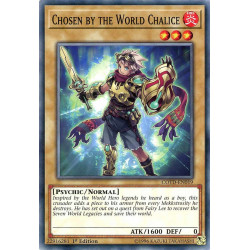 Yu-Gi-Oh TCG COTD-EN019 C Chosen by the World Chalice Code of the Duelist