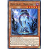 Yu-Gi-Oh TCG COTD-EN023 R World Legacy - World Chalice Code of the Duelist