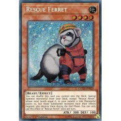 Yu-Gi-Oh TCG COTD-EN029 SE Rescue Ferret Code of the Duelist