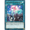 Yu-Gi-Oh TCG COTD-EN062 UR Spellbook of Knowledge Code of the Duelist