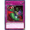 Yu-Gi-Oh TCG COTD-EN077 R Back to the Front Code of the Duelist