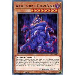 Yu-Gi-Oh TCG COTD-EN092 C Gogogo Aristera & Dexia Code of the Duelist