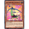 Yu-Gi-Oh TCG CROS-FR003 C Sauterellarc Potartiste Les Âmes Croisées