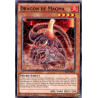 Yu-Gi-Oh TCG CROS-FR034 C Dragon de Magma Les Âmes Croisées