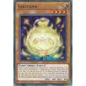 Yu-Gi-Oh TCG CYAC-EN027 C Sakitama Cyberstorm Access