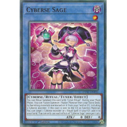 Yu-Gi-Oh TCG CYAC-EN033 C Cyberse Sage Cyberstorm Access