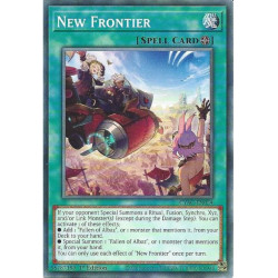 Yu-Gi-Oh TCG CYAC-EN054 C New Frontier Cyberstorm Access