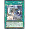 Yu-Gi-Oh TCG CYAC-EN061 C Purrely Sleepy Memory Cyberstorm Access