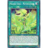Yu-Gi-Oh TCG CYAC-EN062 C Mikanko Dance - Mayowashidori Cyberstorm Access
