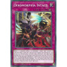 Yu-Gi-Oh TCG CYAC-EN076 C Dinomorphia Intact Cyberstorm Access