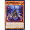 Yu-Gi-Oh TCG CYHO-EN006 C Crusadia Reclusia Cybernetic Horizon