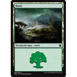 MTG 263/264 Foresta