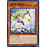 Yu-Gi-Oh TCG CYHO-EN024 C Cupid Volley Cybernetic Horizon