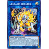 Yu-Gi-Oh TCG CYHO-EN043 C Crusadia Regulex Cybernetic Horizon