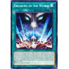 Yu-Gi-Oh TCG CYHO-EN057 C Breaking of the World Cybernetic Horizon