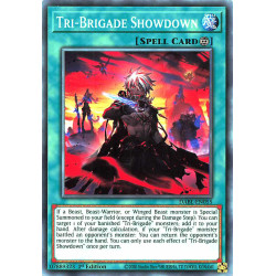 Yu-Gi-Oh TCG DABL-EN055 C Tri-Brigade Showdown Darkwing Blast
