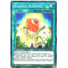Yu-Gi-Oh TCG DABL-EN064 C Naturia Blessing Darkwing Blast