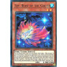 Yu-Gi-Oh TCG DABL-EN085 UR Zep, Ruby of the Ghoti Darkwing Blast