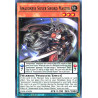 Yu-Gi-Oh TCG DABL-EN094 C Amazoness Silver Sword Master Darkwing Blast