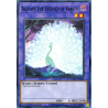 Yu-Gi-Oh TCG DAMA-EN038 C Allvain the Essence of Vanity Dawn of Majesty