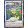 Yu-Gi-Oh TCG DAMA-EN040 SR Daigusto Laplampilica Dawn of Majesty