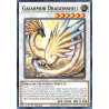 Yu-Gi-Oh TCG DAMA-EN042 C Gaiarmor Dragonshell Dawn of Majesty