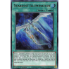 Yu-Gi-Oh TCG DAMA-EN051 UR Stardust Illumination Dawn of Majesty
