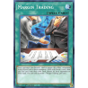 Yu-Gi-Oh TCG DAMA-EN069 C Margin Trading Dawn of Majesty