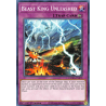 Yu-Gi-Oh TCG DAMA-EN078 C Beast King Unleashed Dawn of Majesty