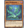 Yu-Gi-Oh TCG DAMA-EN081 C Baby Mudragon Dawn of Majesty