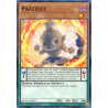 Yu-Gi-Oh TCG DAMA-EN082 C Pazuzule Dawn of Majesty