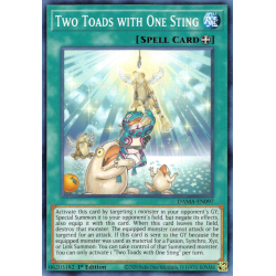 Yu-Gi-Oh TCG DAMA-EN097 C Two Toads with One Sting Dawn of Majesty