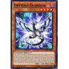 Yu-Gi-Oh TCG DANE-EN001 C Firewall Guardian Dark Neostorm