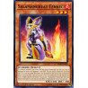 Yu-Gi-Oh TCG DANE-EN003 C Salamangreat Fennec Dark Neostorm